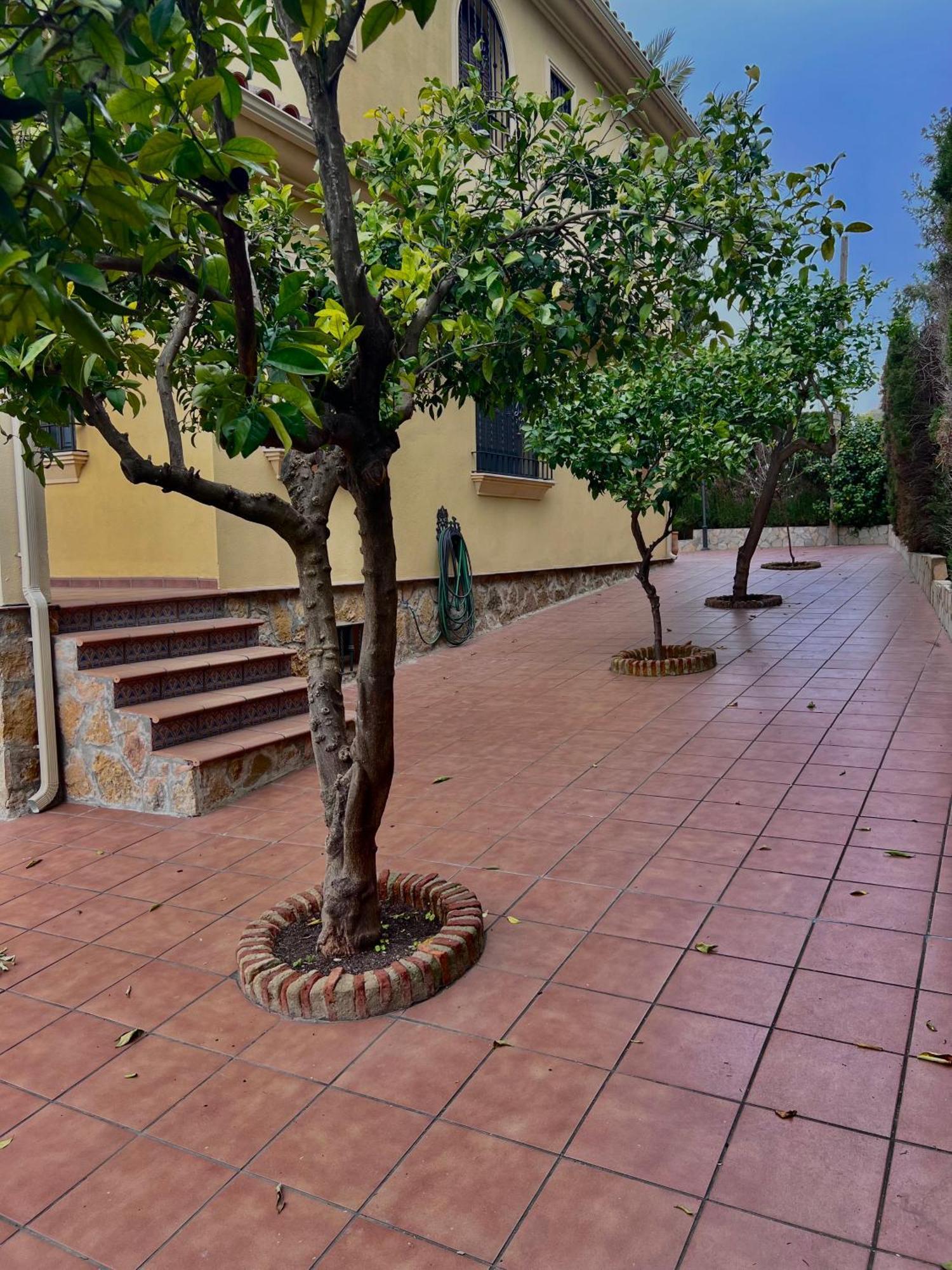 Vila El Carmen Córdoba Exteriér fotografie